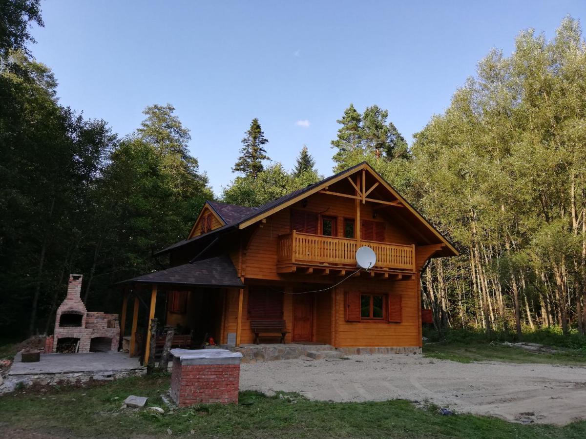 Chalet By The River Văliug 외부 사진