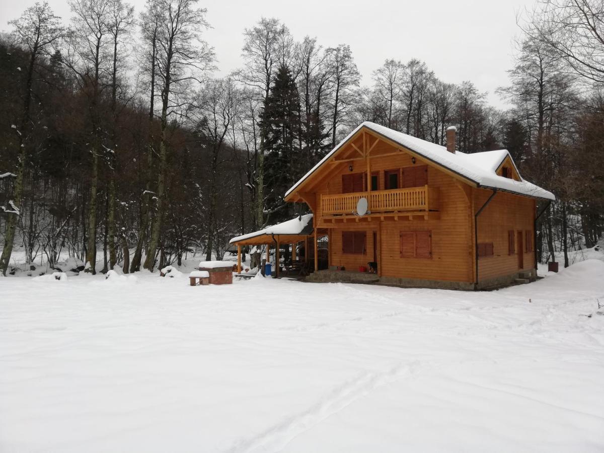 Chalet By The River Văliug 외부 사진