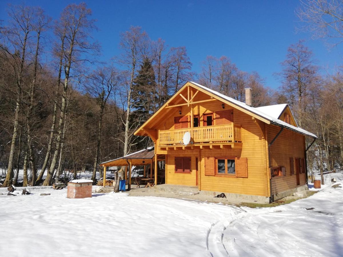 Chalet By The River Văliug 외부 사진