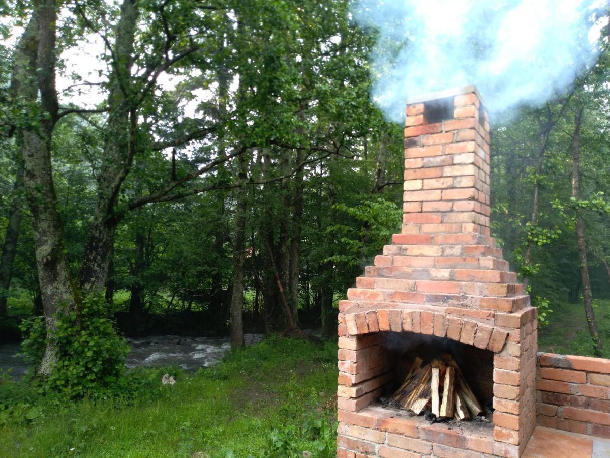 Chalet By The River Văliug 외부 사진