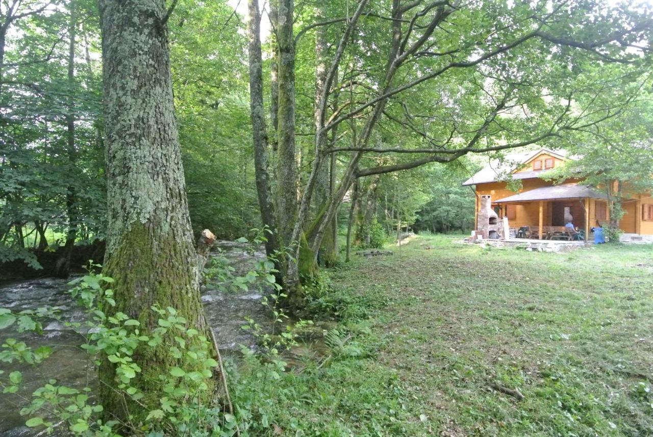 Chalet By The River Văliug 외부 사진