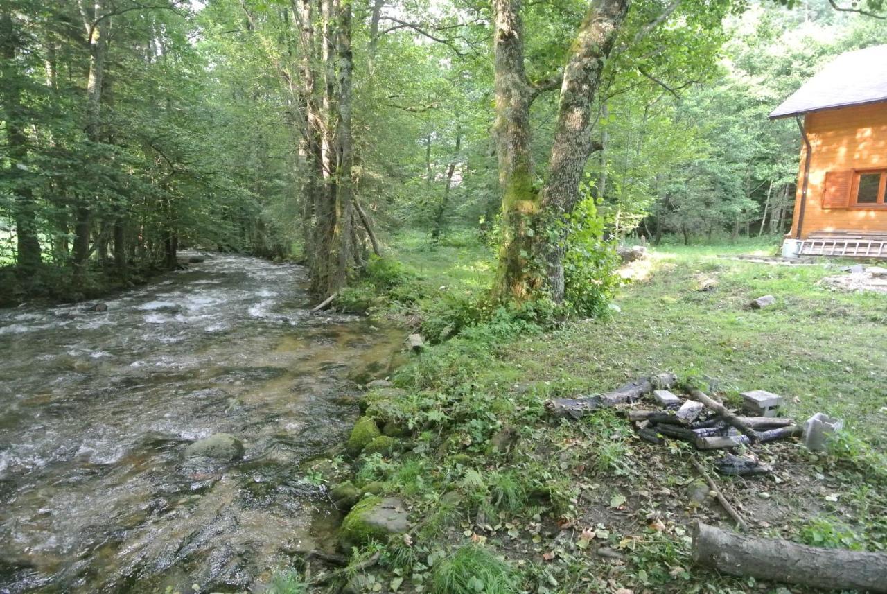 Chalet By The River Văliug 외부 사진