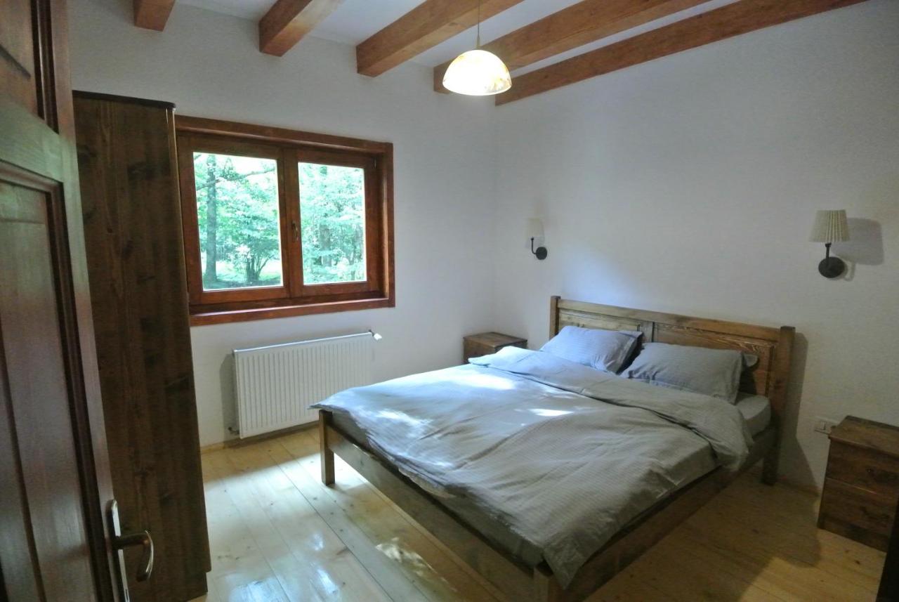 Chalet By The River Văliug 외부 사진