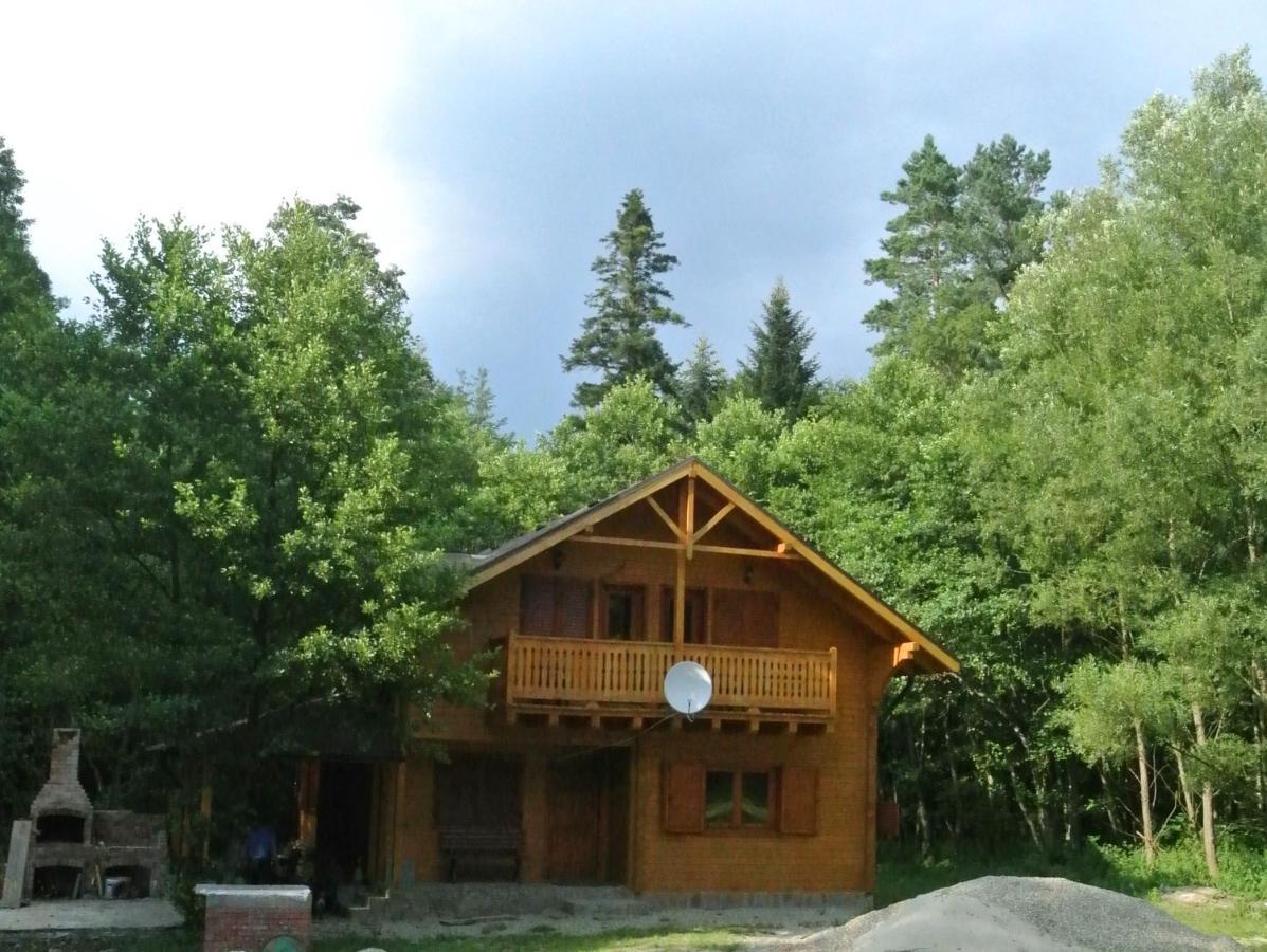 Chalet By The River Văliug 외부 사진